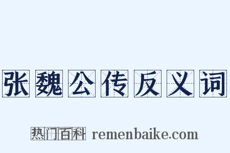张魏公传反义词是什么意思的图片